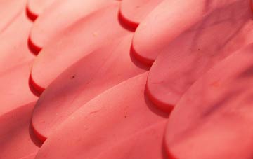 Williamsetter plastic roof costs