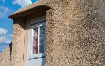 Williamsetter thatch roof disadvantages